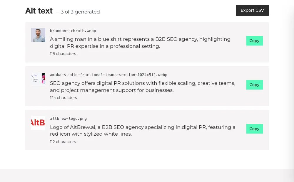 Example results from the Bulk AI Alt Text Generator