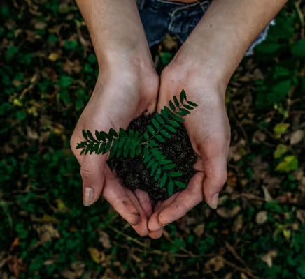 Hands cradle a small plant, symbolizing growth. Ideal for a B2B SaaS SEO agency, content marketing, and digital PR services.