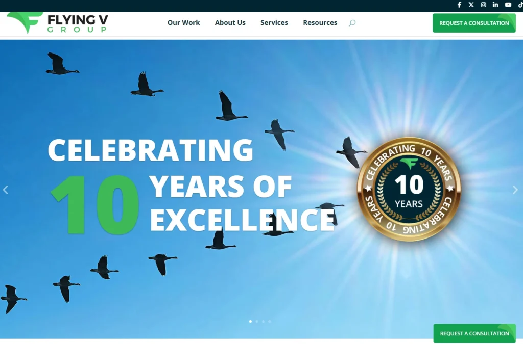 Flying V Group homepage.